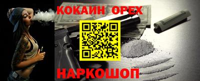 гидра Будённовск