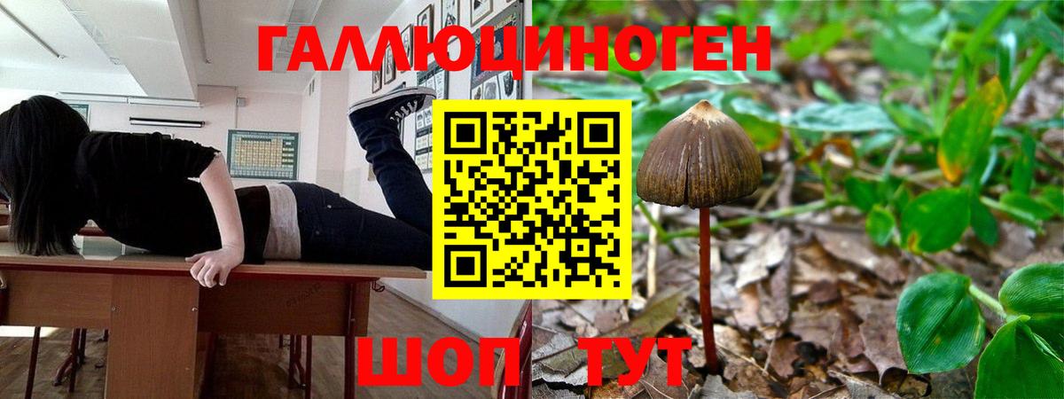 Псилоцибиновые грибы ЛСД Прокопьевск
